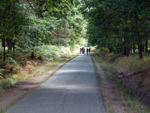 Forêt de Senart