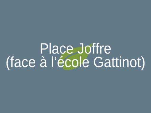 Place Joffre (face à l’école Gatinot)