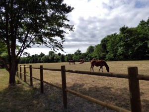 La vallée de l’Yerres, plaine de Chalandray