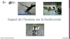 Diaporama Perrine Lequitte