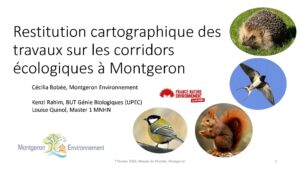 diaporama Cécilia Bobée